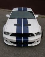 Ford Mustang GT500 by StangNet 2007 года